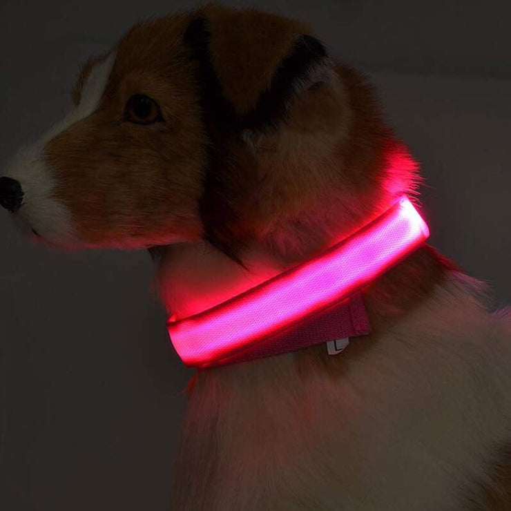 Pet Collars