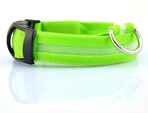 Pet Collars