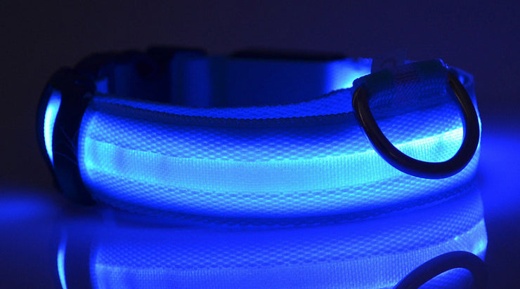 Pet Collars