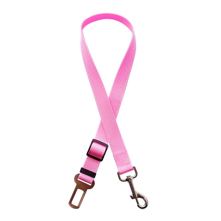 Dog Collars 