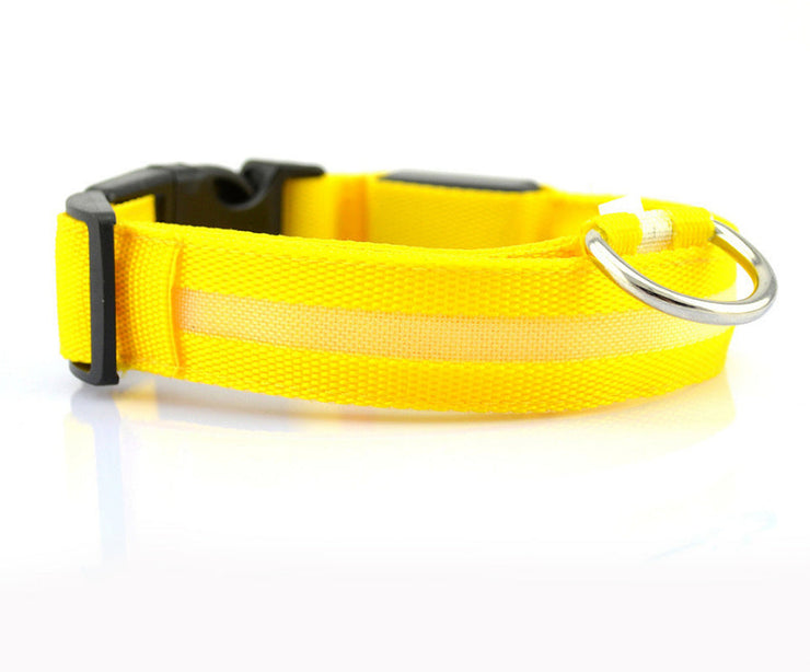 Pet Collars