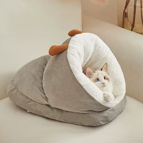 bed pet