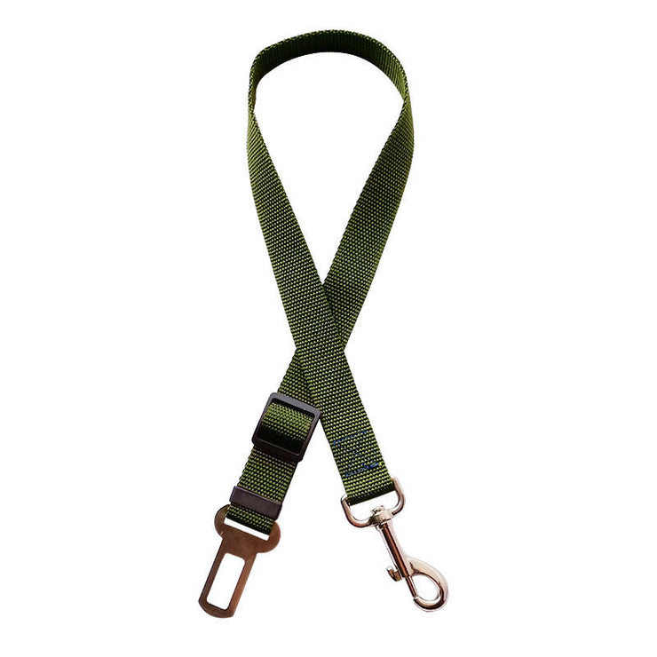 Dog Collars 