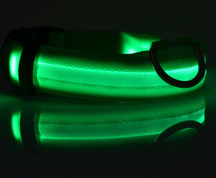 Pet Collars