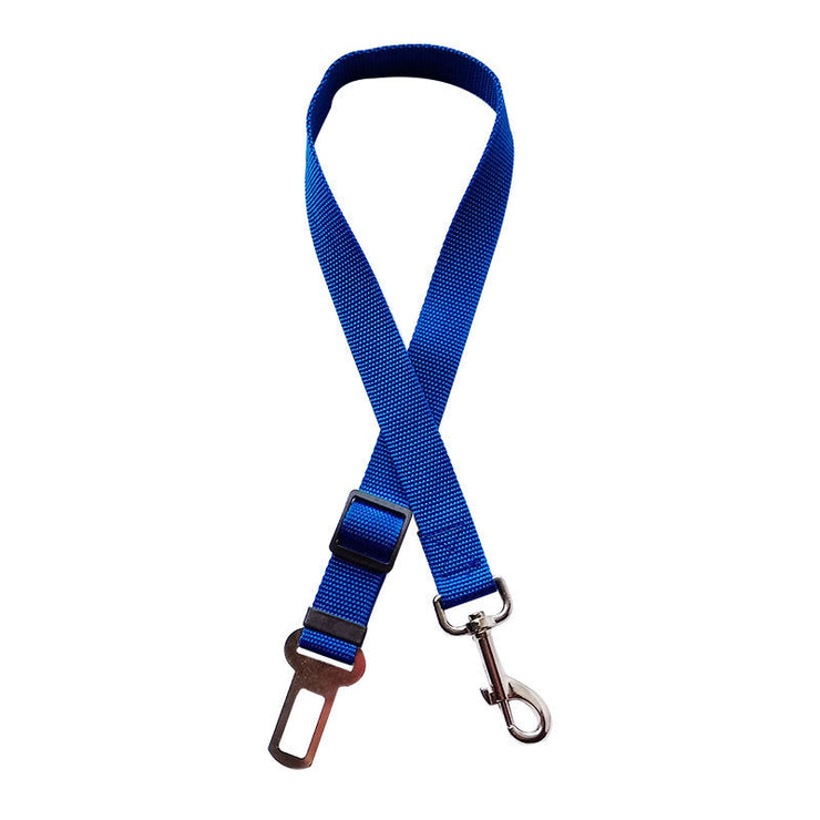 Dog Collars 