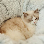 pet bed